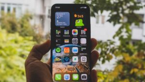 Best Language Learning apps to master your language journey: Pimsleur, Duolingo, Rosetta Stone