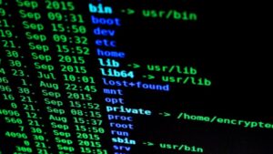 Top 10 Linux Commands That Everyone Should Know