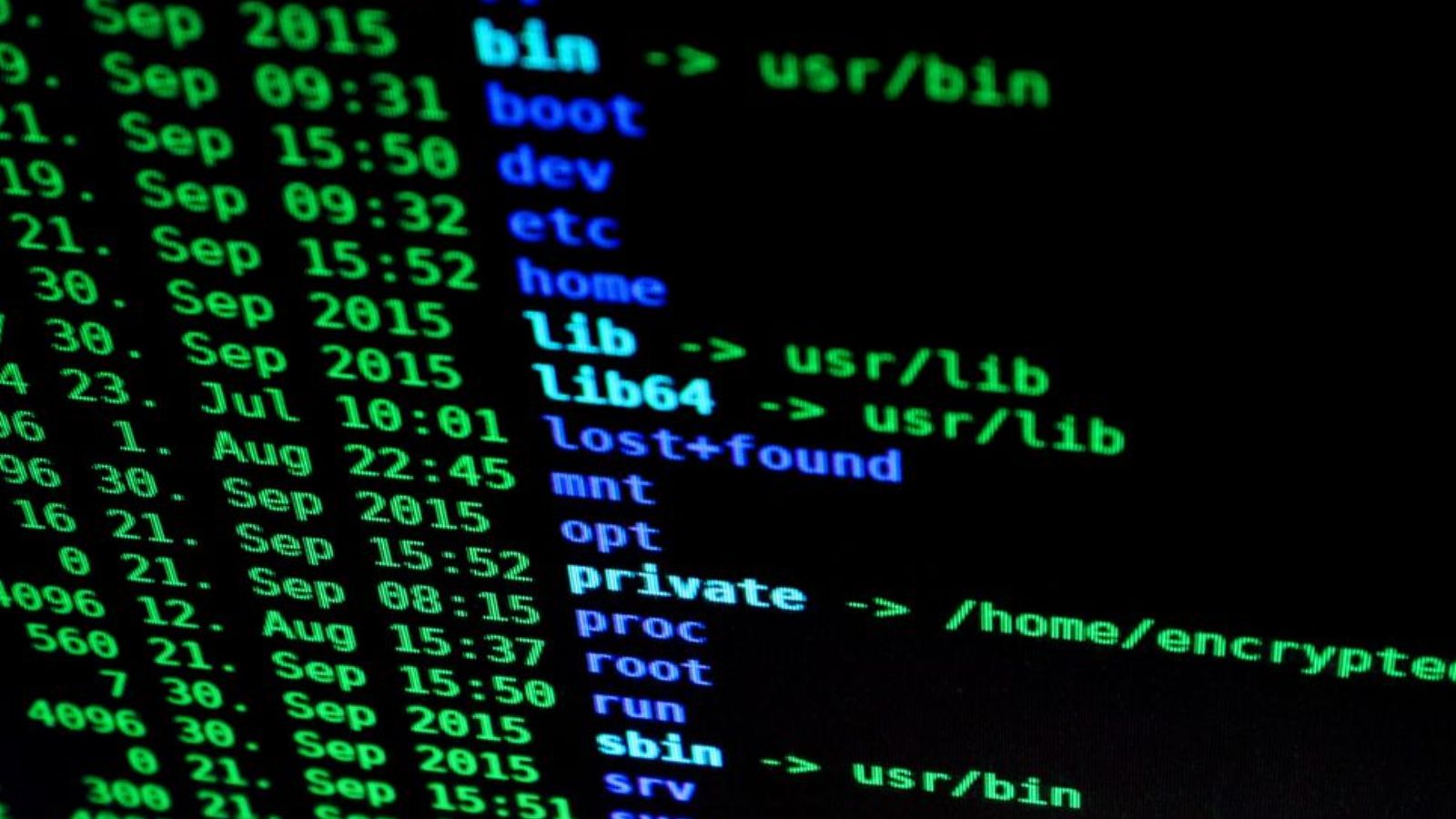 Top 10 Linux Commands That Everyone Should Know
