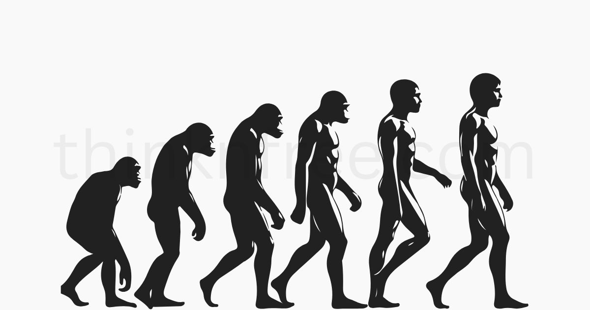 Silhouette of human evolution from ape to modern man, symbolizing the next step toward brain-computer interfaces like Neuralink