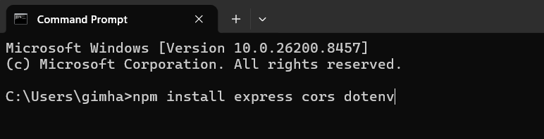 Terminal window showing the successful installation output of npm packages including express and dotenv